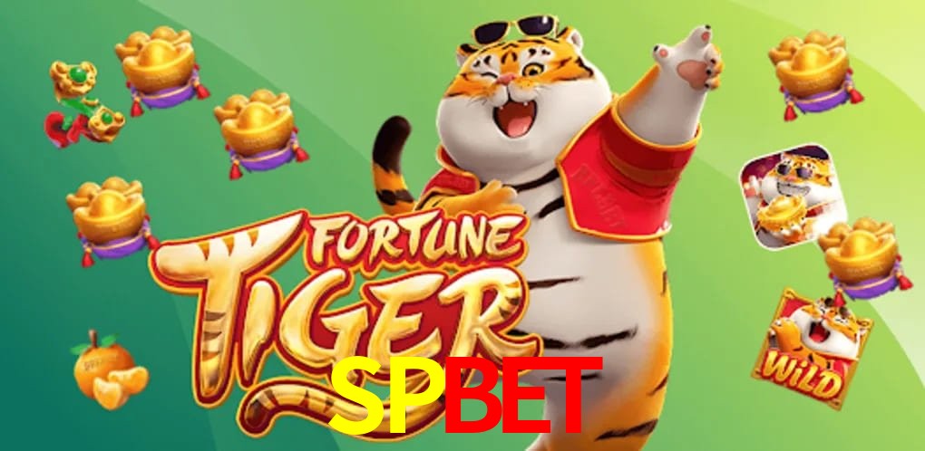 Security Systems SPBET